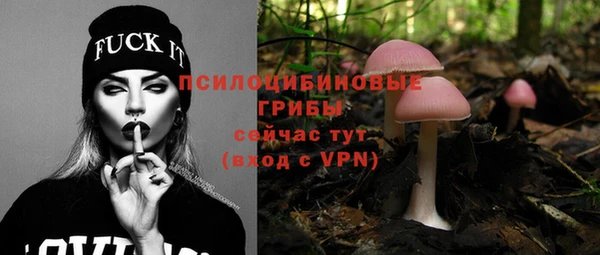 дживик Алексеевка