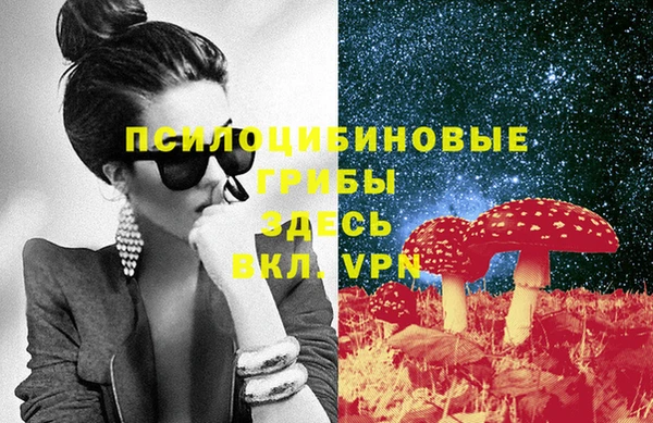 дживик Алексеевка
