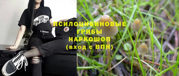 дживик Алексеевка