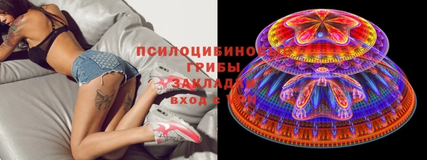 дживик Алексеевка