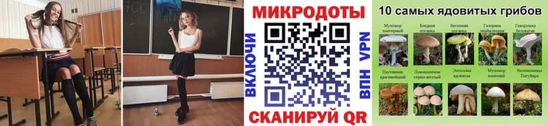 Псилоцибиновые грибы прущие грибы  kraken онион  Бирск  купить наркотик 