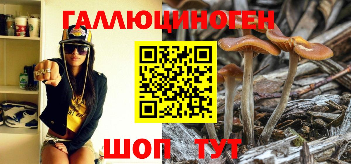 Бирск  закладки  Вход с VPN  Галлюциногенные грибы Cubensis 